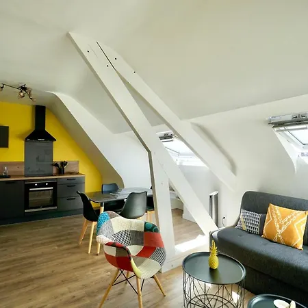La Lucarne Au Centre Avec Parking Prive Et Ascenseur Apartament *